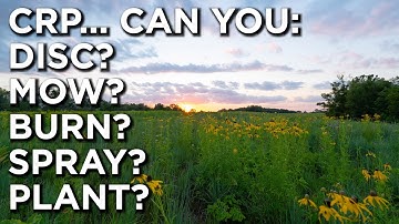 What You NEED To Know About CRP!! (Conservation Reserve Programs)