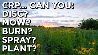 What You NEED To Know About CRP!! (Conservation Reserve Programs)