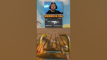 this MERRICK 556 loadout is BROKEN 😳