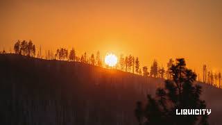 Terror - Morning Sun (Etherwood Remix)