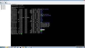 Apache_Hadoop_1X: Copy File from your Localsystem to HDFS Storage & Delete Files in HDFS Storage