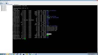 Apache_Hadoop_1X: Copy File from your Localsystem to HDFS Storage & Delete Files in HDFS Storage