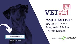 November 9, 2021: Use of TSH in the Diagnosis of Feline Thyroid Disease by VETgirl 1,535 views 2 years ago 39 minutes