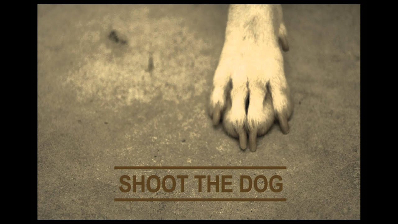 Shoot The Dog พอ [Official Audio] YouTube