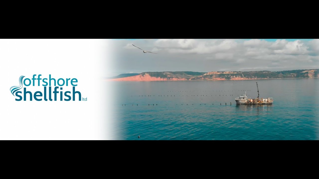 Offshore Shellfish - Eat Mussels, Save the Planet. Our sustainable seafood story.