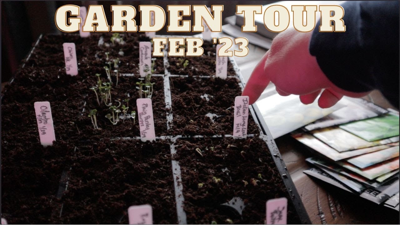 February Garden Tour 2023 | Garden Tour 2023 | Zone 6B - YouTube