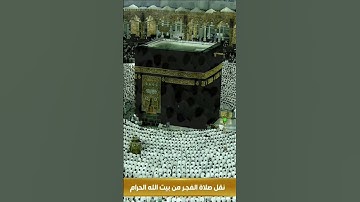 فواتح سورة مريم للشيخ ياسر الدوسري من صلاة الفجر 7-1_1445