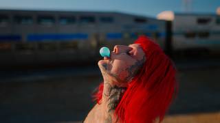 Zoodeville - Moderation Music Video