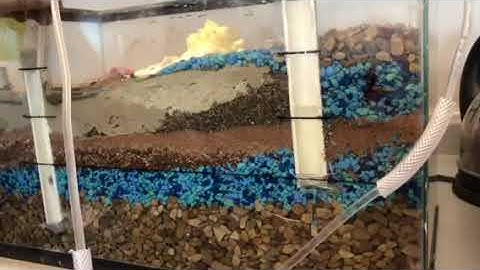 Groundwater Model Video 1