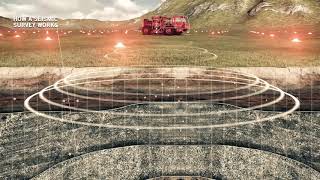 gFORCE Animation Inc. - Seismic Surveys