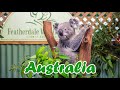 Sydney, Featherdale Wildlife Park - Parcul Zoologic - Australia ep 26 - travel video vlog calatorie