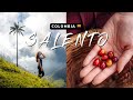 Exploring salento colombia  cocora valley travel guide  vlog 