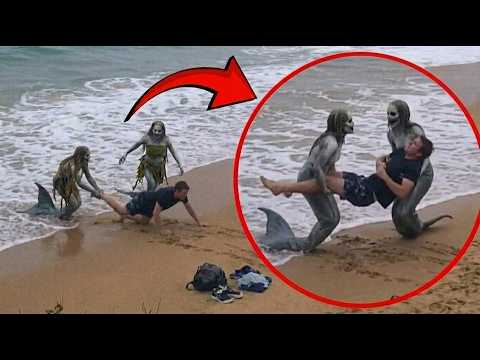 Caught on Camera: Videos That Left Everyone Asking Questions