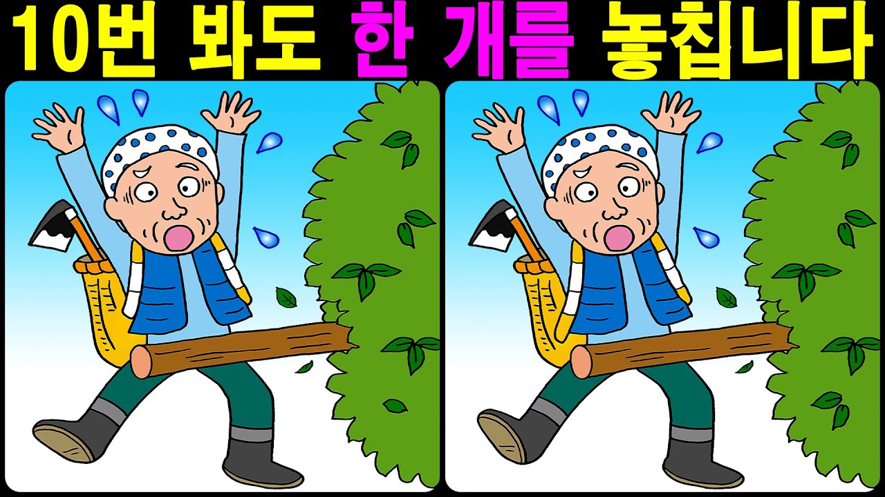 10번 봐도 한 개를 놓칩니다 【다른그림찾기/틀린그림찾기/치매예방】