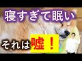 睡眠 眠気の原因最大の誤解 寝過ぎで眠い の嘘 解説 睡眠 眠気の原因最大の誤解 寝過ぎで眠い の嘘 解説