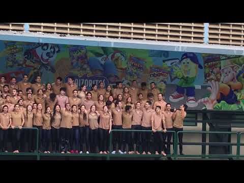 PISCINAZO PROMO 2018 CSLC II