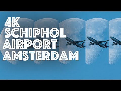 Video: Luchthaven in Amsterdam 