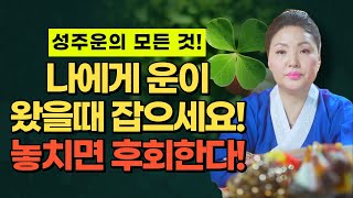 [성주운의 모든 것] 나에게 운이 왔을 때 무조건 잡아라! 놓치면 후회한다!/ 시대의대만신들 신퇴마록