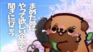 【友だちに凸！】復活したまめたぬきにやって欲しい企画聞きに行くだけの配信【#畑荒しの時間】