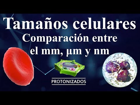 Video: ¿Es un micrómetro más grande que un nanómetro?