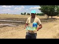 Suya dönüş: Suruç'ta göç tersine döndü