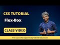 #8 Web Development || CSS Flexbox || Web Development tutorial #csstutorials #flexbox