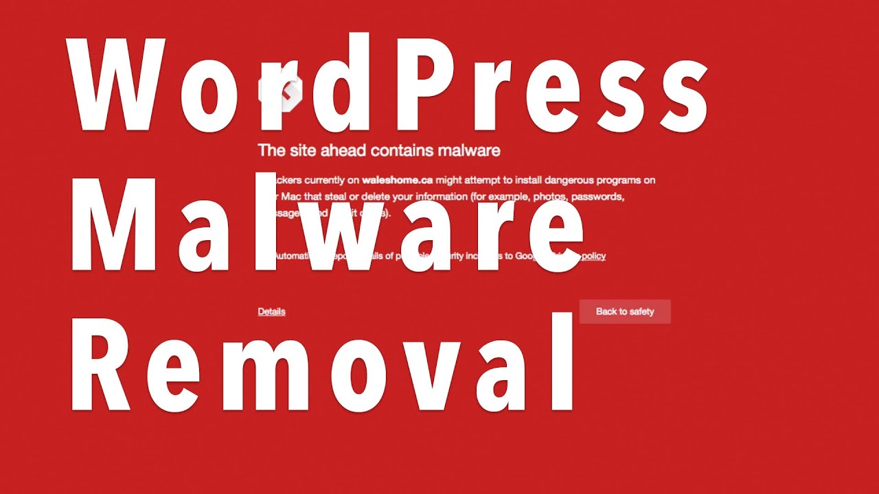 Wordpress Malware Cleanup Service Wordpress Malware Cleanup Service
