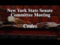 Senate Standing Committee on Codes - 05/04/2026