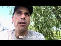 Rassiyadan Siz Hohlagan Uzum Qalamchasini Olib Kelib Beramiz Rassiyadan Siz Hohlagan Uzum Qalamchasini Olib Kelib Beramiz