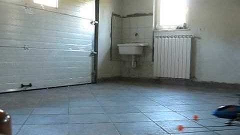 t rex 450 first flight