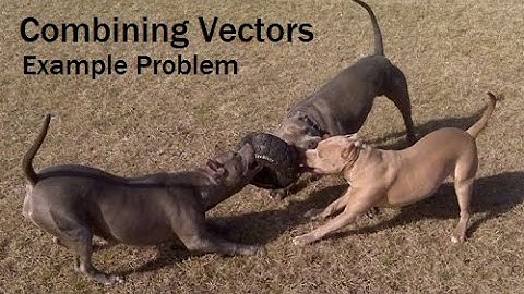 Vectors 3: The Resultant of Three Vectors