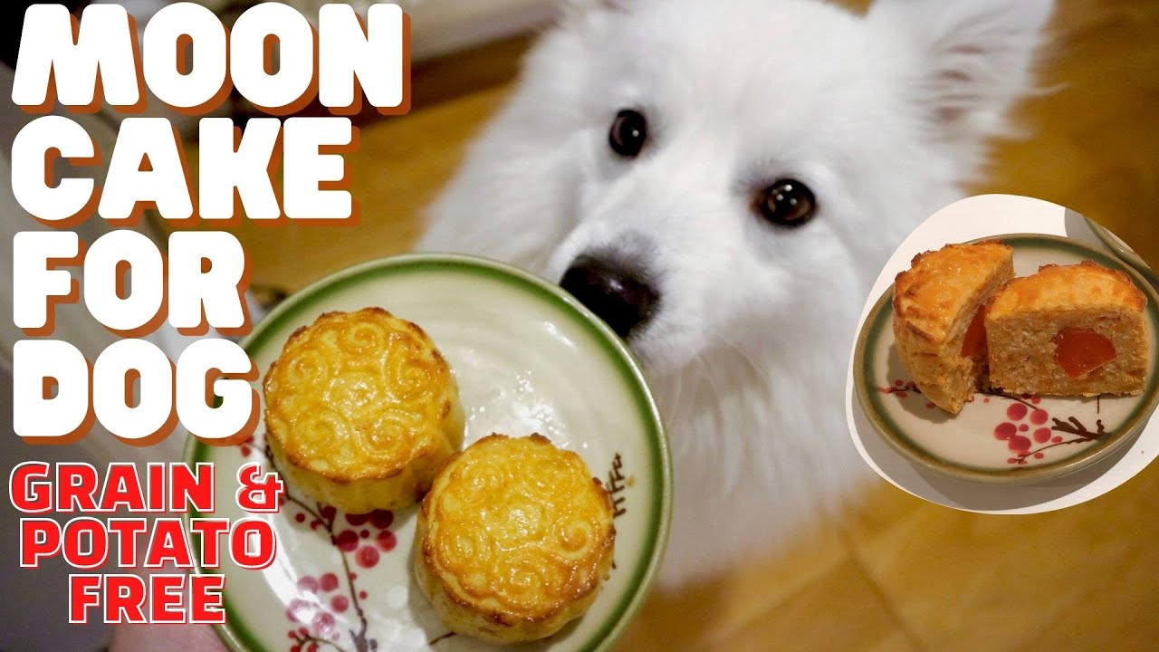 Potato & grain free mooncake for Dog (Grain free dog recipe)