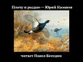 "Плачу и рыдаю"—  Юрий Казаков— читает Павел Беседин