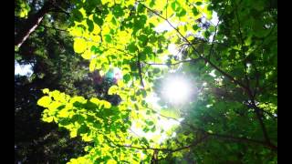 Mieko Noresore 桜ひとひら