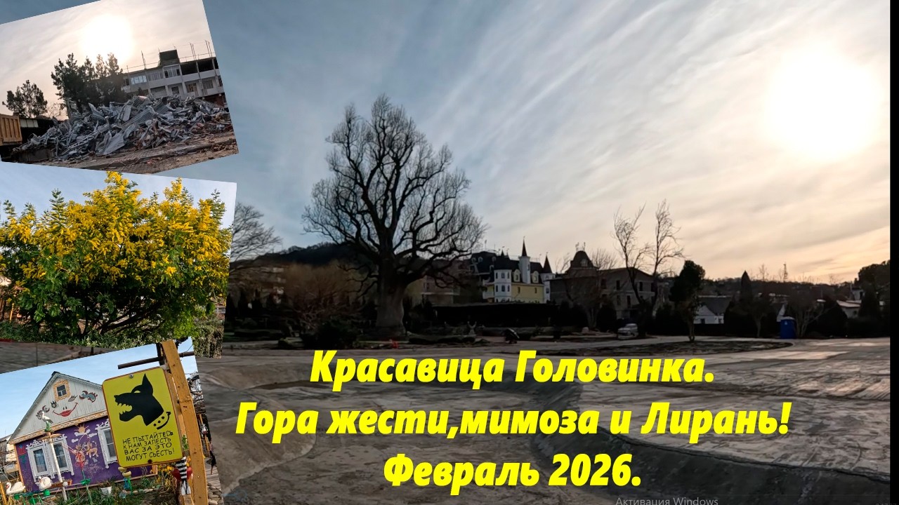 Красавица Головинка! Гора жести, мимоза и Лирагь! Февраль 2026.