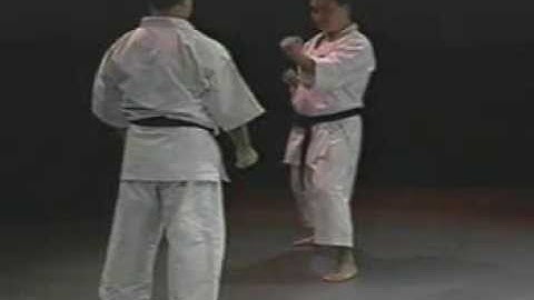 Morio Higaonna. Goju Ryu karate. Bunkai