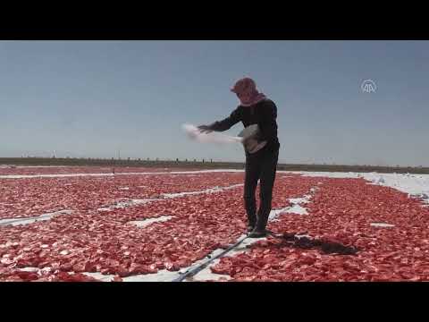 Niğde'de güneşte kurutulan