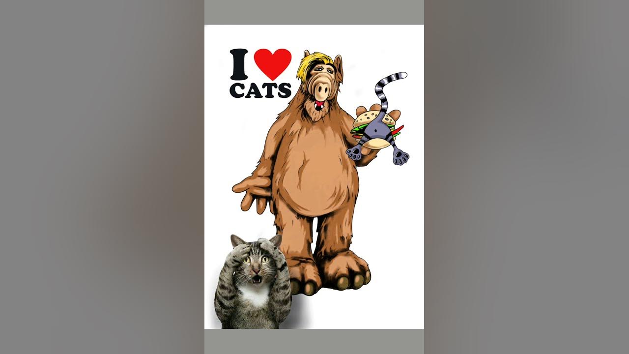 ALF. Альф рисунок.Альф ест кошку. Кошка бургер. Alf art. - YouTube