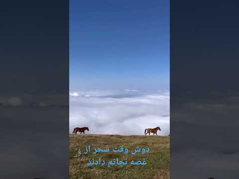 چه مبارک سحری بود و چه فرخنده شبی حافظ شعر آسمان عرفان معنویت