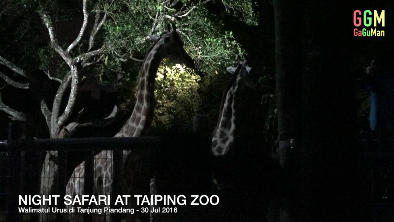 Harga tiket zoo taiping 2021