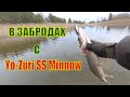 Рыбалка в ЗАБРОДАХ. Ловля ЩУКИ на Yo-Zuri SS Minnow.