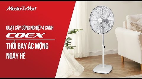 Quạt cây công nghiệp 4 cánh Coex CIF-7122: Thổi bay ác mộng ngày hè - Điện máy MediaMart