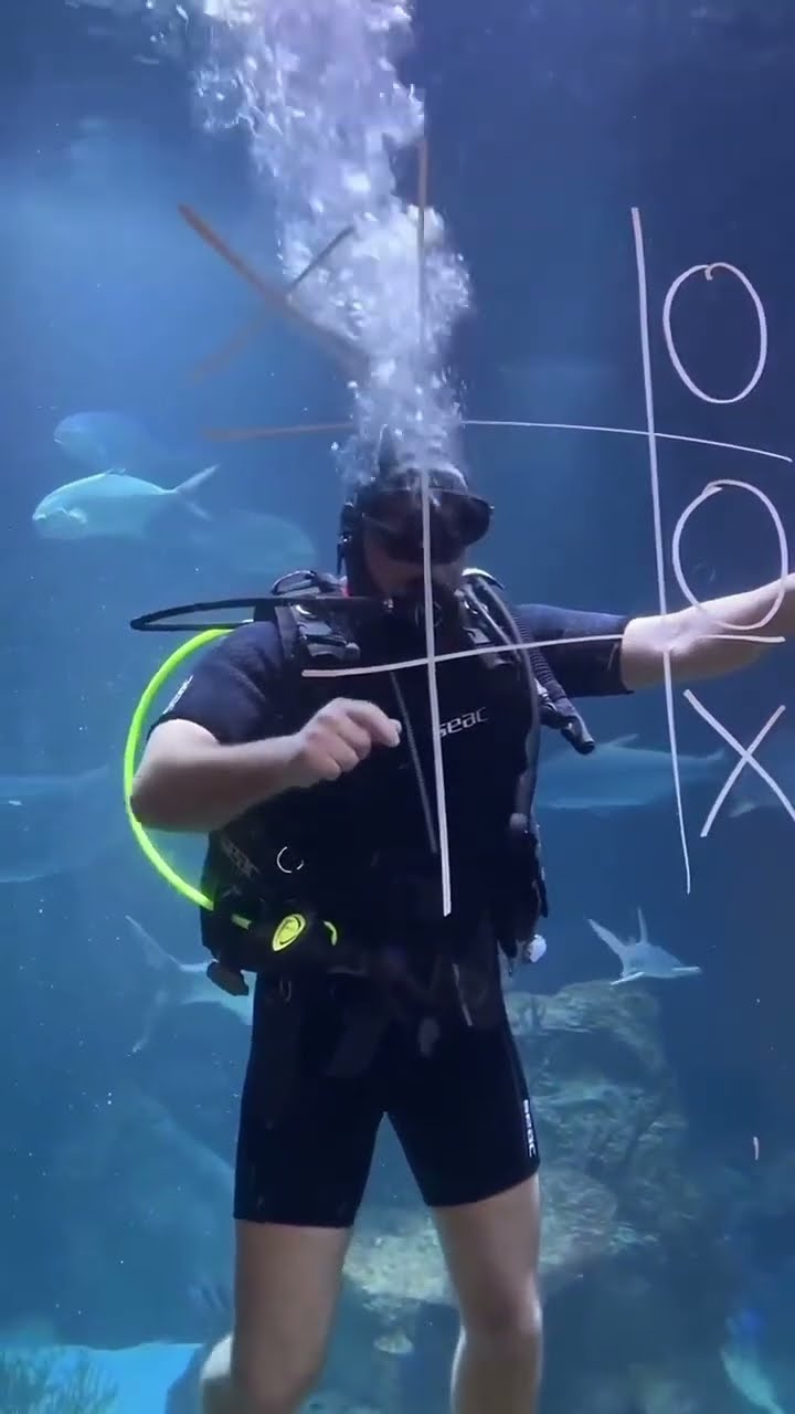 #JasonDeruloTV // Play ?#GotPermissionToPost From @AquaTerraZoo #MakeMeHappy