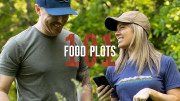 Food Plots: For beginners, by a beginner