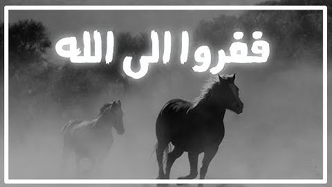 تلاوة خاشعة جدا تخشع لها القلوب | مقطع مؤثر | ايات قرانية ☁️