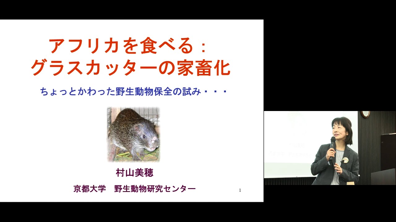 京都大学 19年度アフリカ地域研究資料センター公開講座 第4回 アフリカを食べる グラスカッターの家畜化 村山 美穂 京都大学野生動物研究センター 教授 年1月18日 Youtube