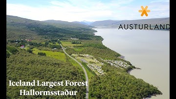 Hallormsstaður, the largest forest in Iceland