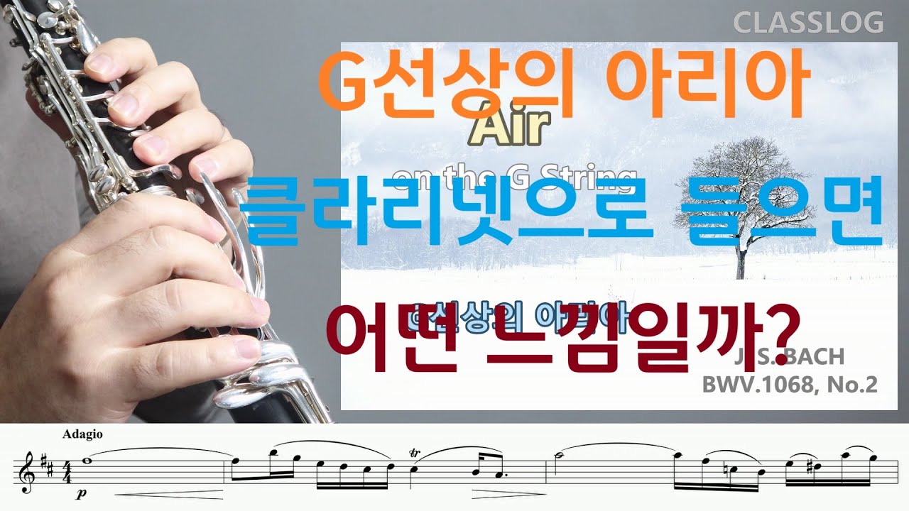 🎵G선상의 아리아를 클라리넷으로 연주하면 이런 느낌! Air on the G String /J.S.BACH, BWV.1068, No.2 /Clarinet