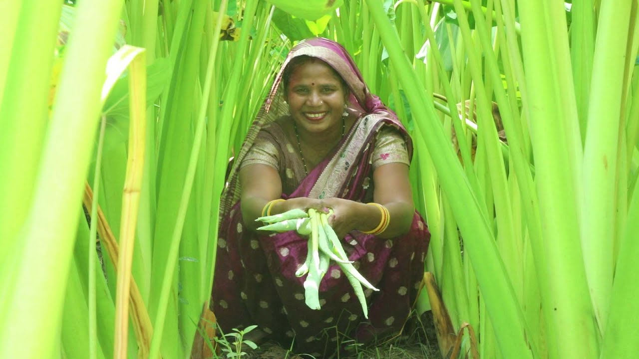 बन्डा की पत्ती की बड़ी की सब्जी बनाने का आसान तरीका || Bannda ki sabji