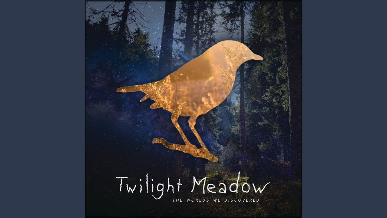 Galaxies Apart (Jacob Stanifer Remix)